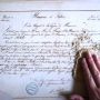 Restauratrice d'&oelig;uvres sur papier